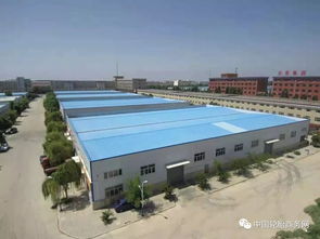 寧夏一輪胎廠近期拍賣 德國零部件巨頭預(yù)測 未來三年汽車產(chǎn)量下降難改觀